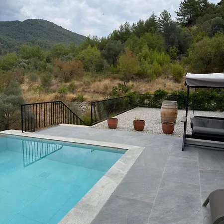 Greenblue - Unique In Nature With A Pool